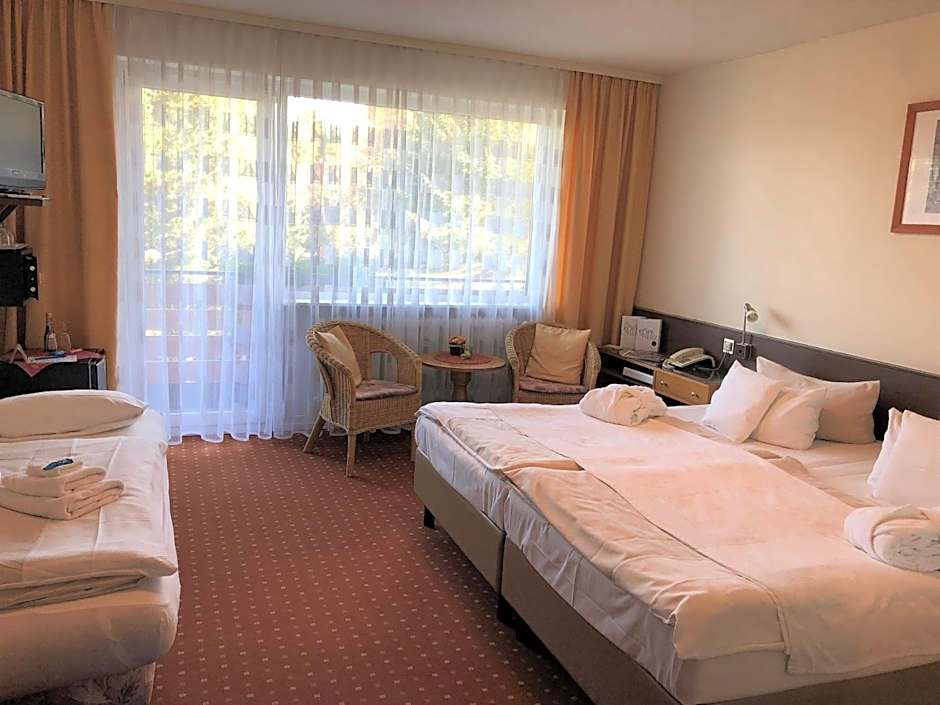 Forsters Schwarzwald Hof - Resort-Hotel&Pension