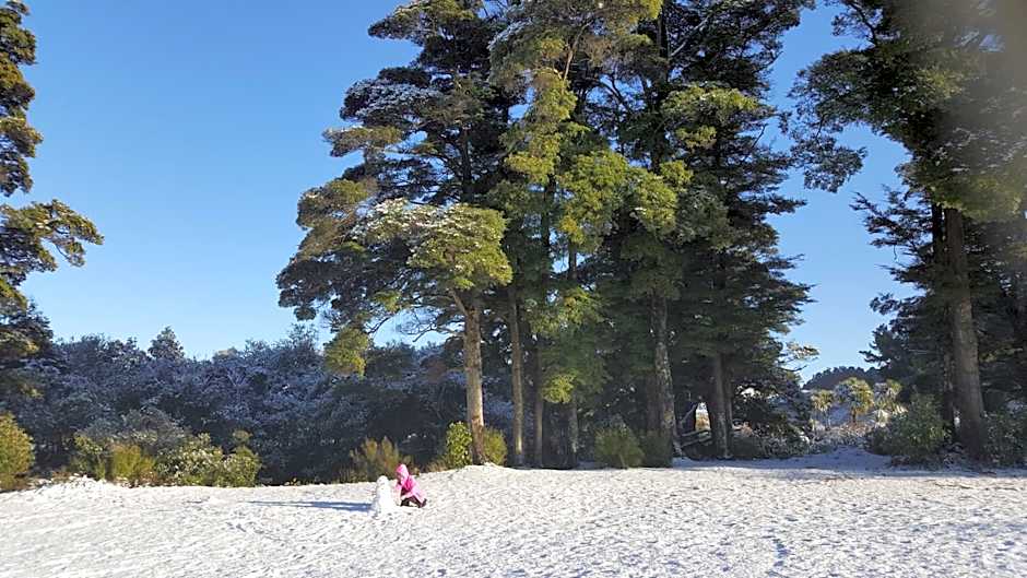 Ruapehu Mountain Motel & Lodge