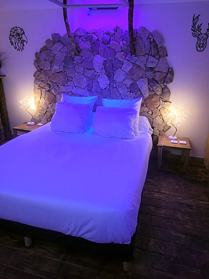 LOVE Room Danslesbois avec spa