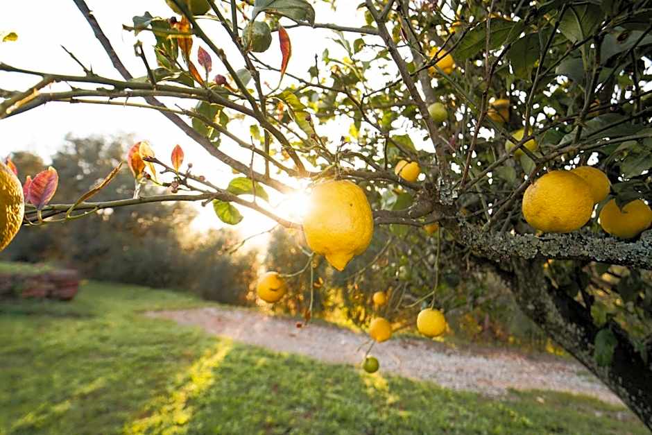 Quinta da Luz - A Luxury Boutique B&B