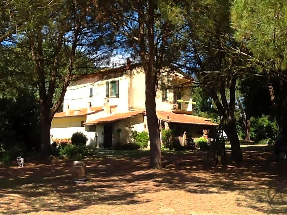Campo alle Monache
