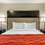 Comfort Inn & Suites Tigard near Washington Square