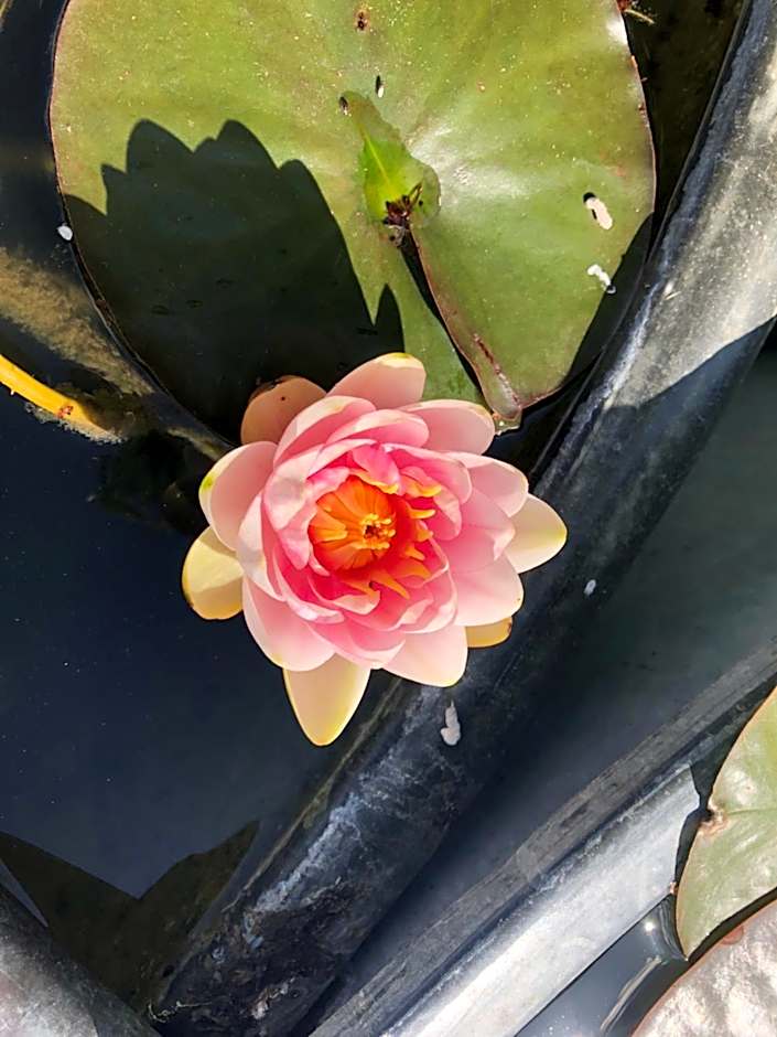 Les Jardins des Soussilanges