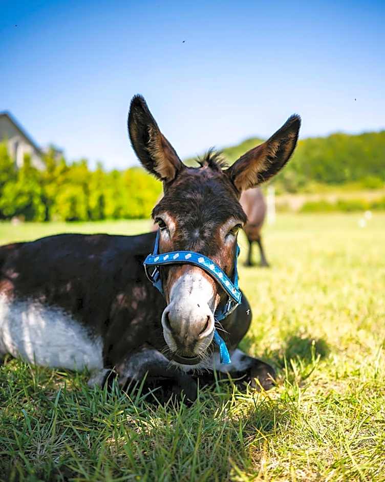 Dosłońce Resort Wellness & Farm