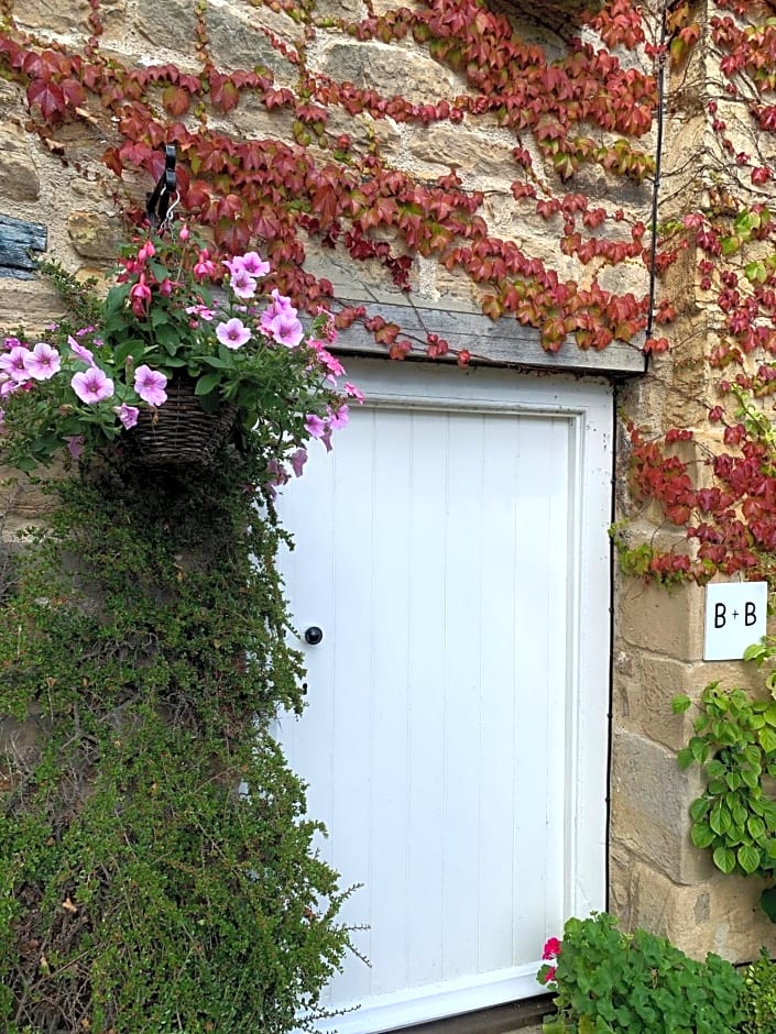 Dalton House Bed and Breakfast