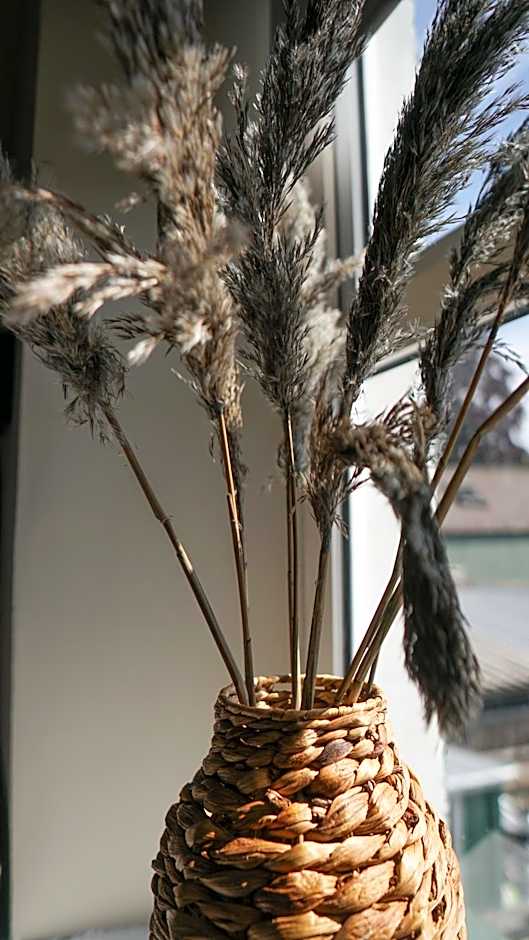 The Star in Narberth