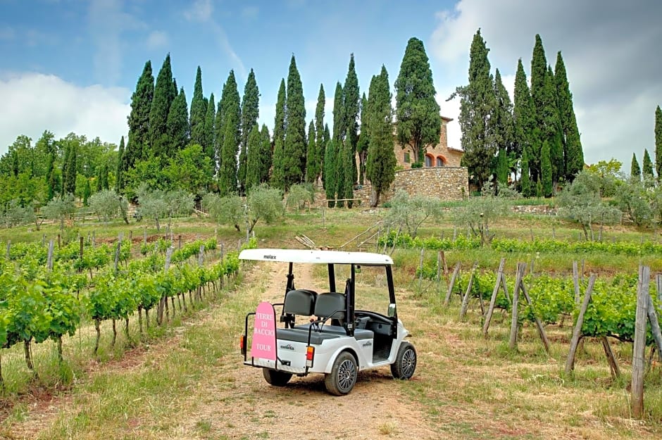 Terre di Baccio