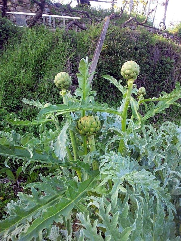 Quinta Quatro Ventos