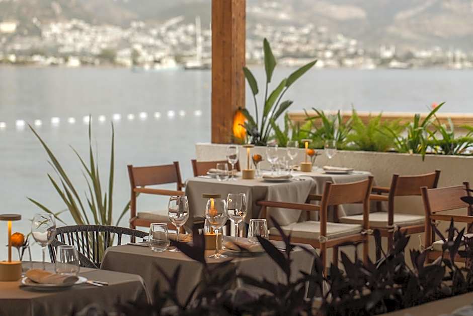 Avantgarde Refined Yalıkavak