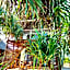 Eden Rock Zanzibar