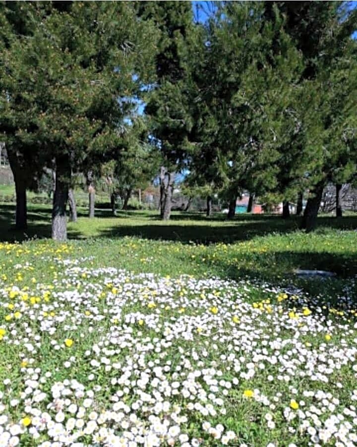 B&B Collina Sul Mare – Fermo, MO