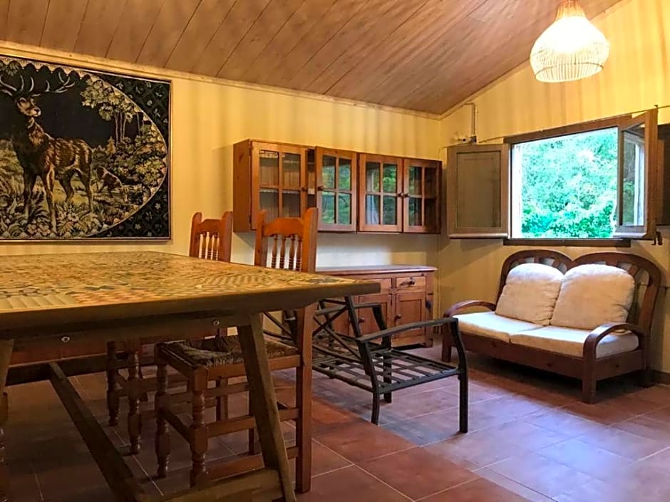 Els Avets de la Muga