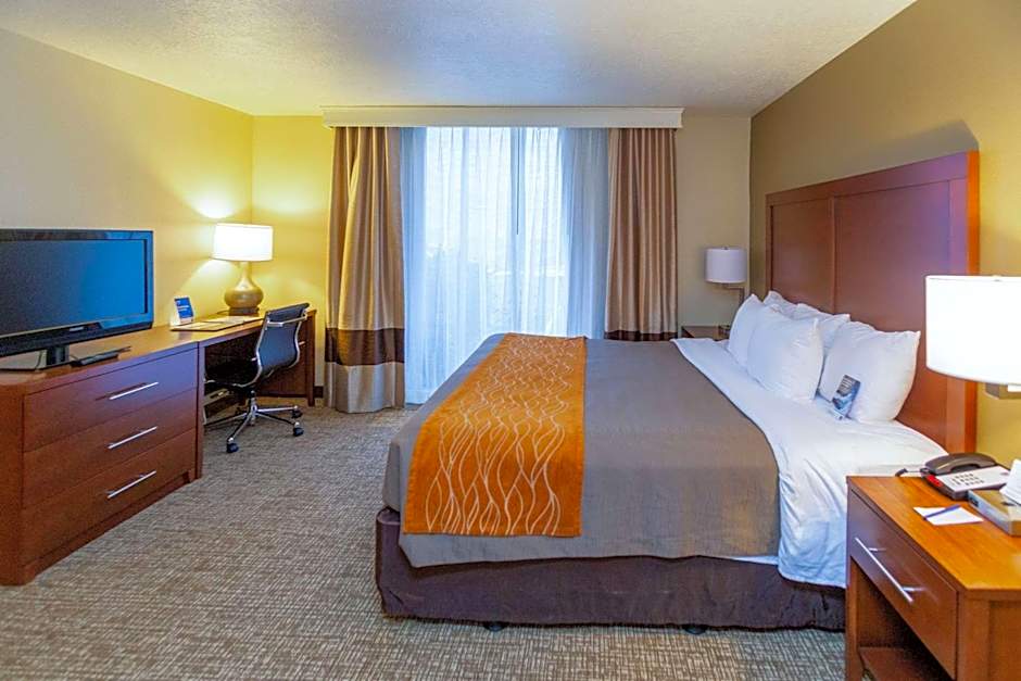 Comfort Inn Salt Lake City Downtown