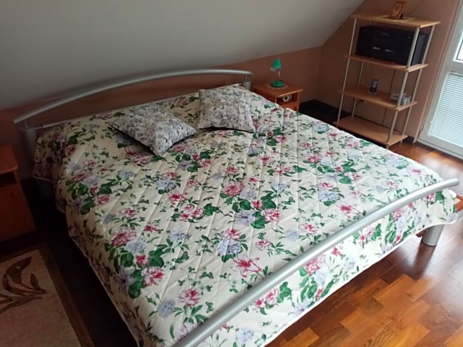 Apartmán Starý Mlyn