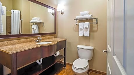 SUITE-1 KING BED,NSMK,PETFRD,MICRWV,REFRIG,SOFBD,FULL BREAKFAST