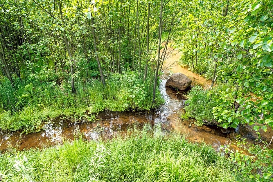 Lubiatowo Źródlana 10