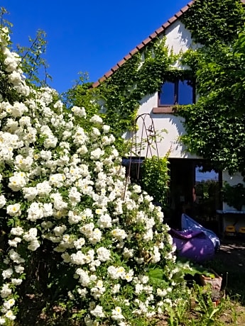 Chambre d'hôtes de charme, un temps en forêt