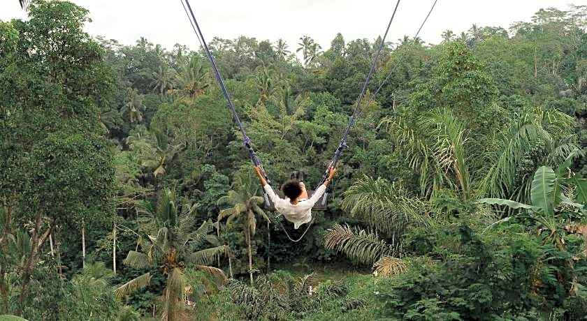 Bobocabin Ubud, Bali