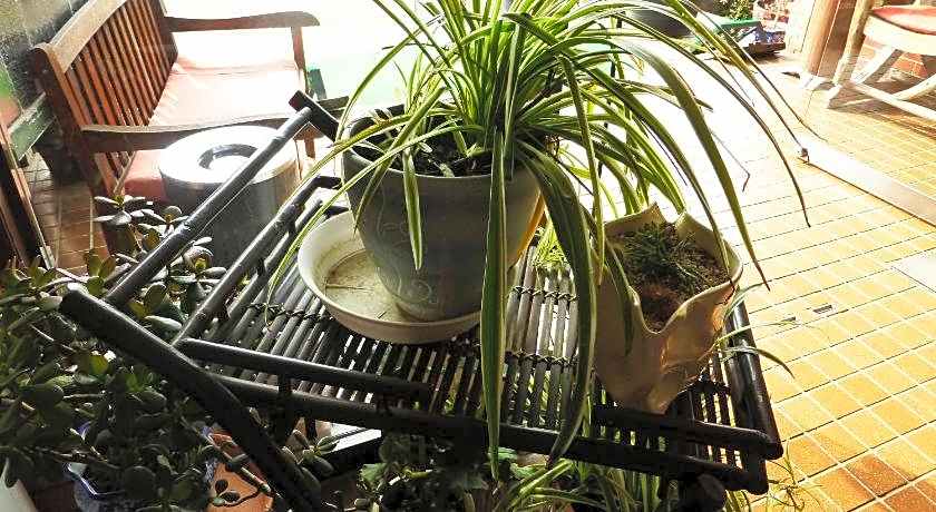 Kawaguchiko Lakeside Hotel