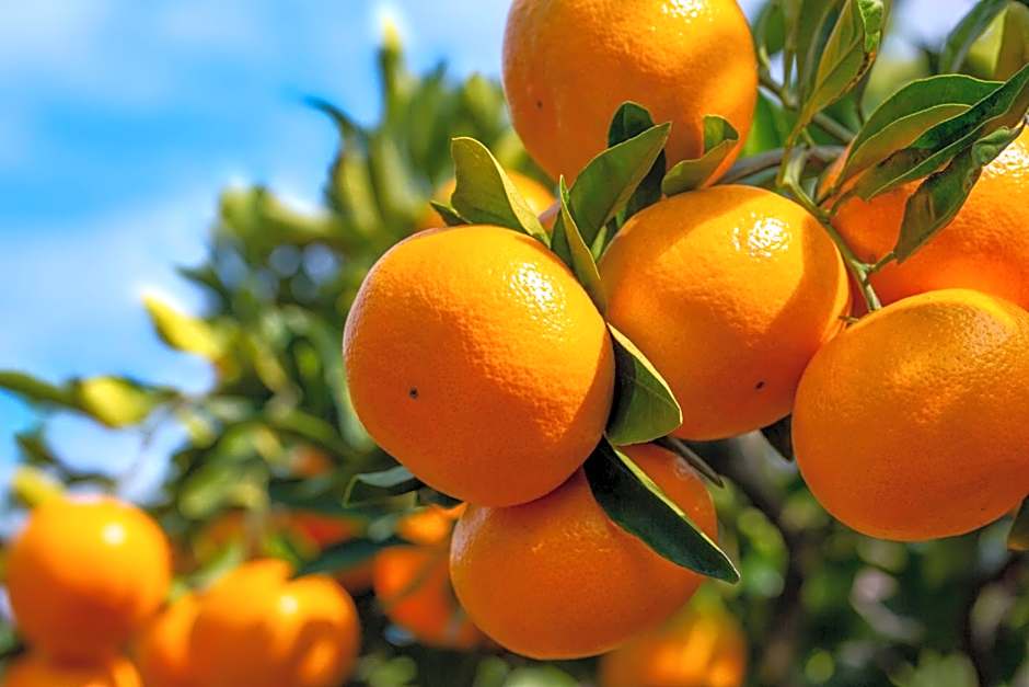 Tabist Business Hotel Suehiro Matsuyama