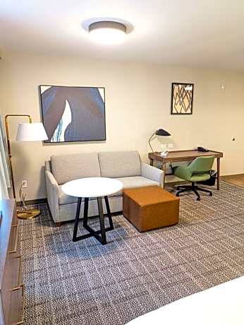 Suite - Mobility Access Roll in Shower/Non-Smoking