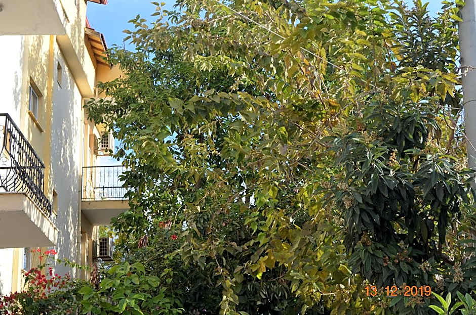 Hotel Uygar
