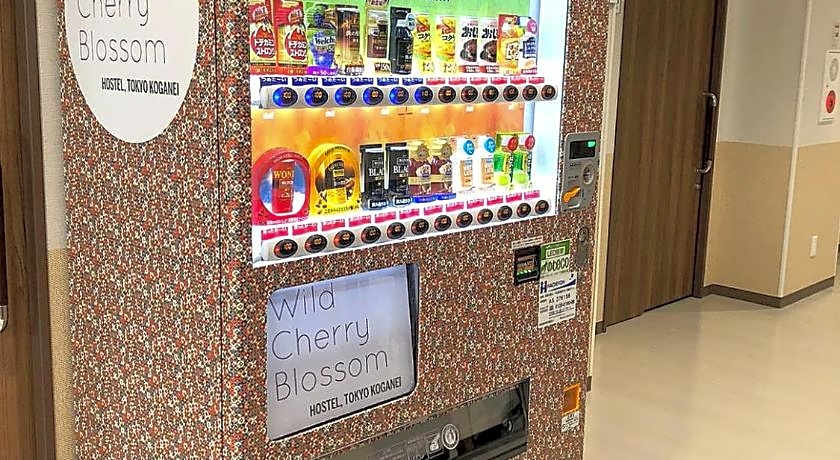 Wild Cherry Blossom HOSTEL,TOKYO KOGANEI
