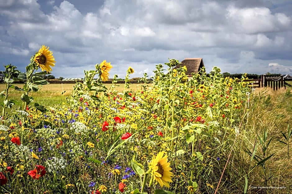 Bed en Bike Strûnen op Texel
