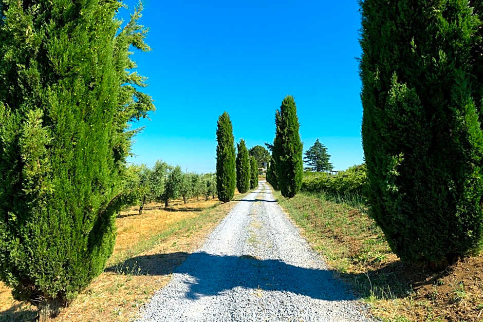 Il Raggio Di Sole