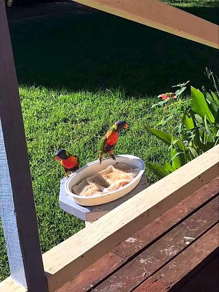 Tambo Mill Motel & Caravan Park