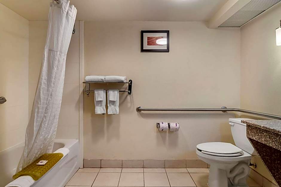 Comfort Inn & Suites Athens North