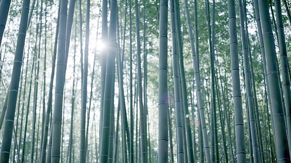 THE JUNEI HOTEL Kyoto