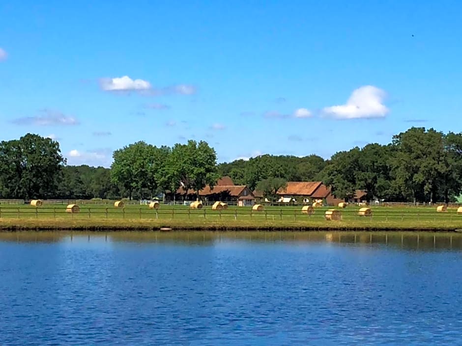haras du Vignault Le Bûcher