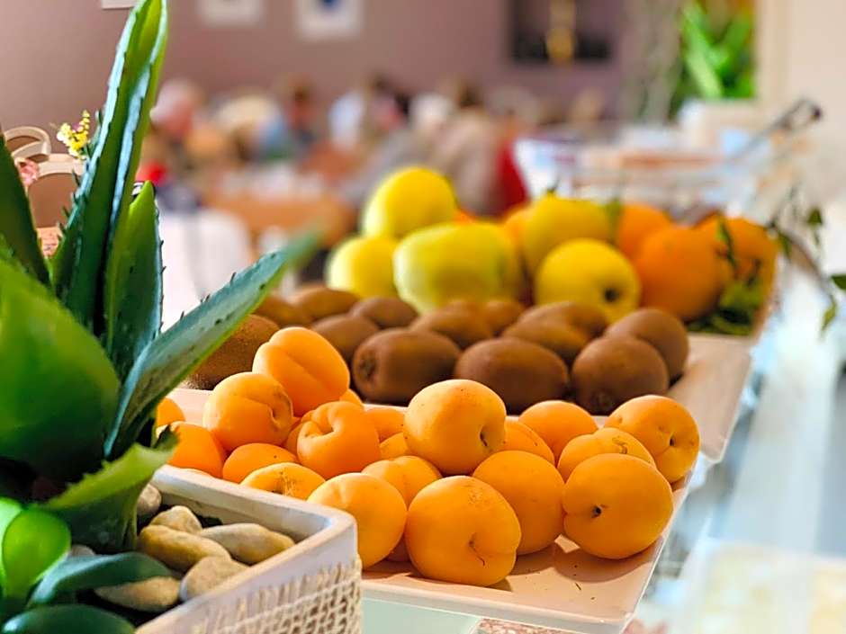 Gran Paradiso Hotel Spa