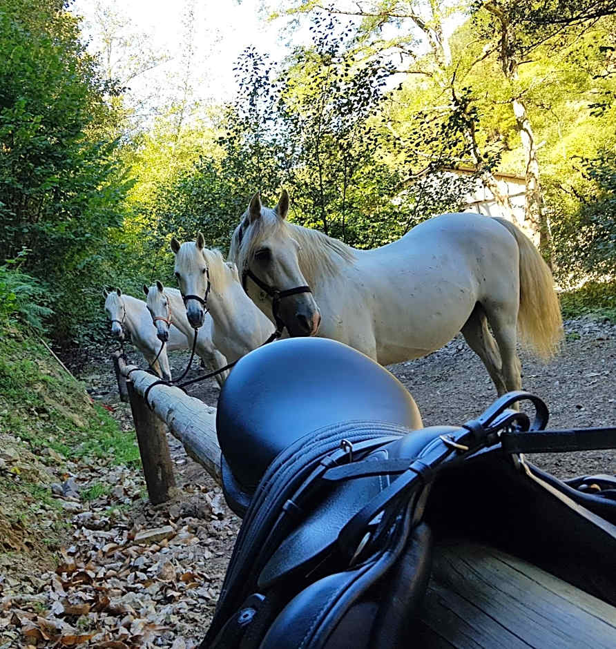 Hotel Rural Las Montañas de Pumar
