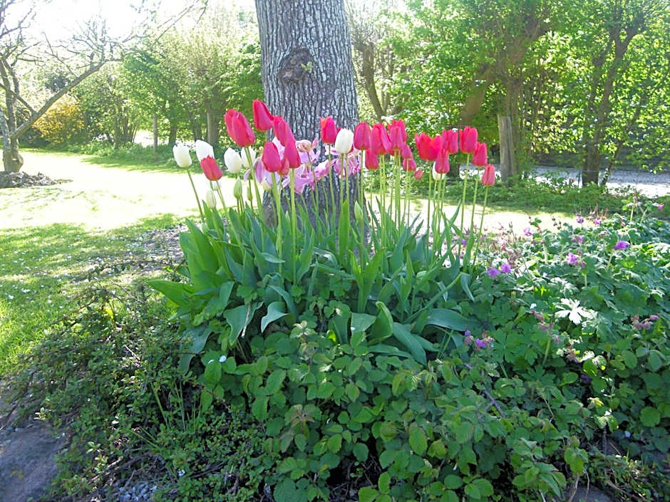 La Griotte & Spa&Piscine