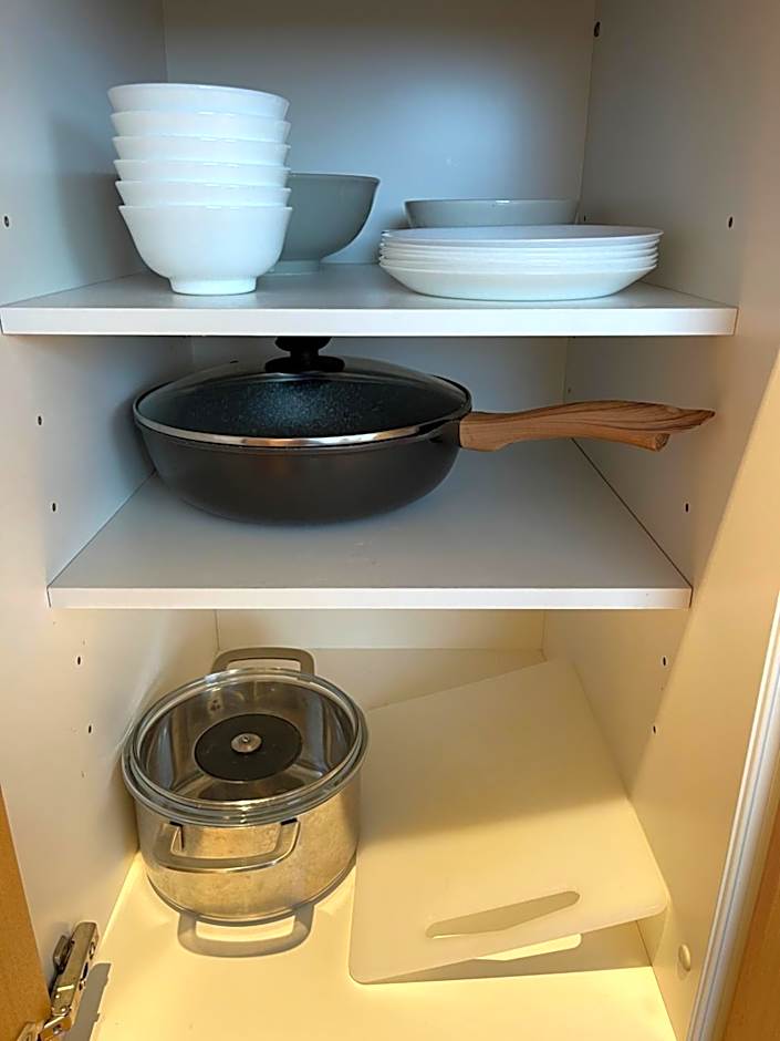 Nplus Tokyo Akihabara Premium