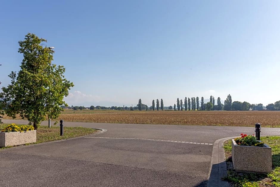 Adonis Excellior Grand Gen¿