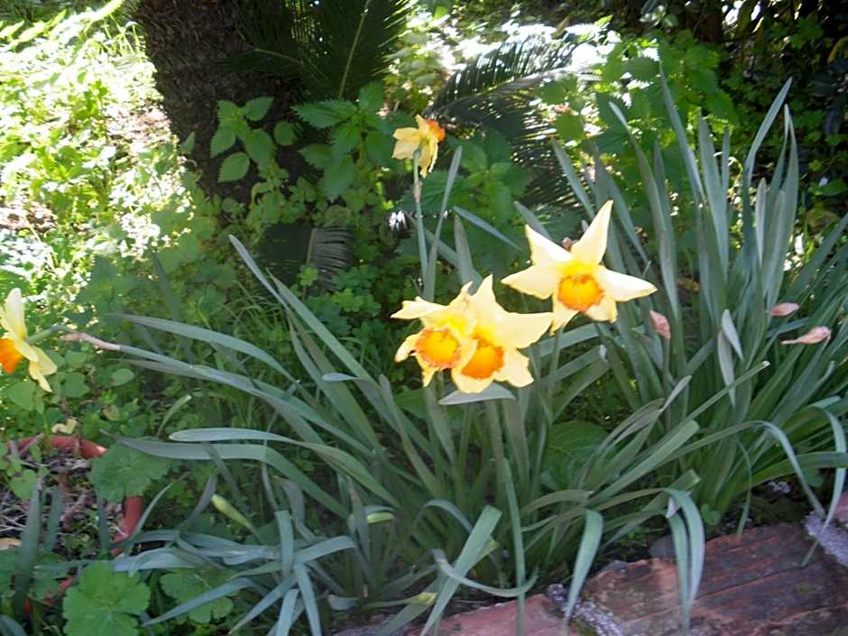 Casantica Turismo Rurale