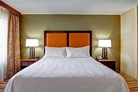 1 King Bed Studio Suite Nonsmoking