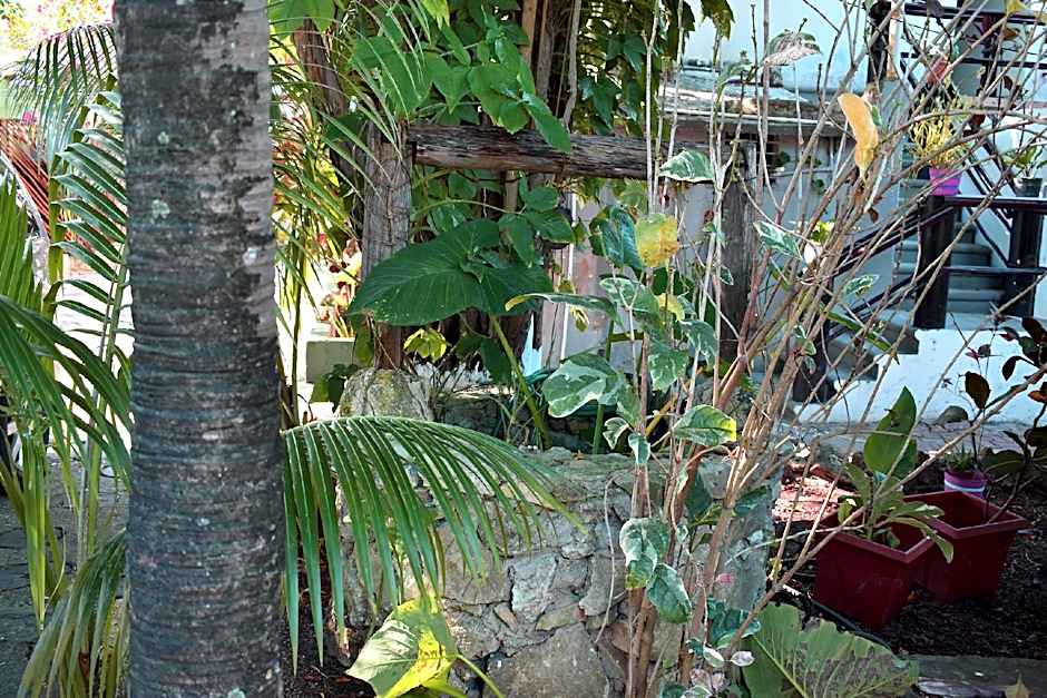 Gastello Inn Tulum