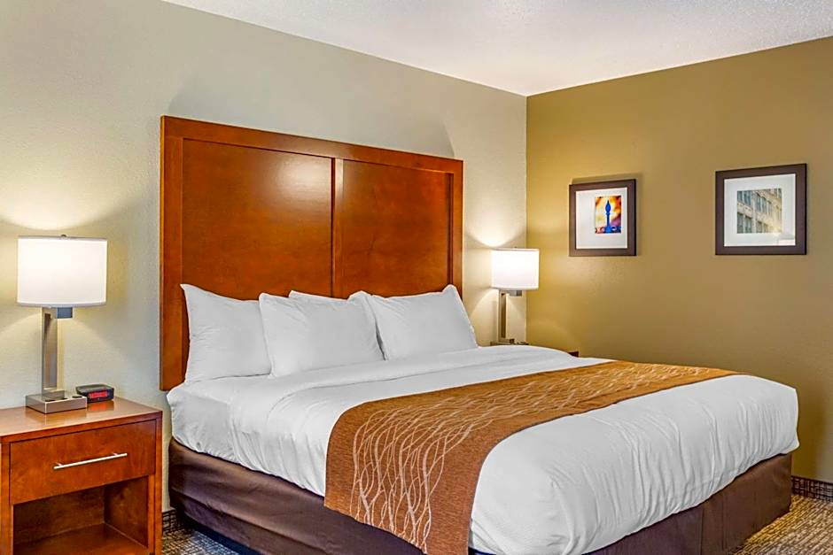 Comfort Inn DeKalb - Adjacent the University