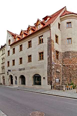 Hotel David an der Donau