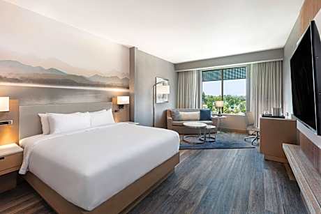 Larger Guest room, 1 King, Sofa bed