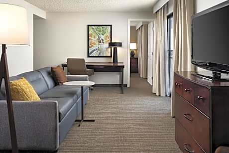 1 Bedroom Suite, 1 King, Sofa bed