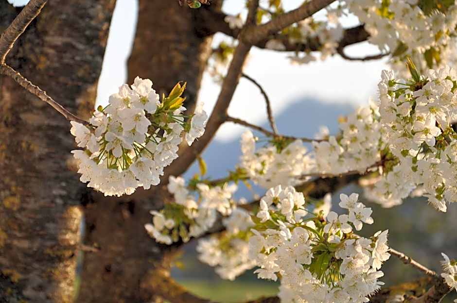 L'Airone Country House