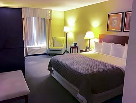 1 King Bed, One-Bedroom Suite, Non-Smoking