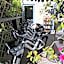 Hotel Borgo Vista Lago