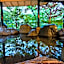 Kinugawa Park Hotels