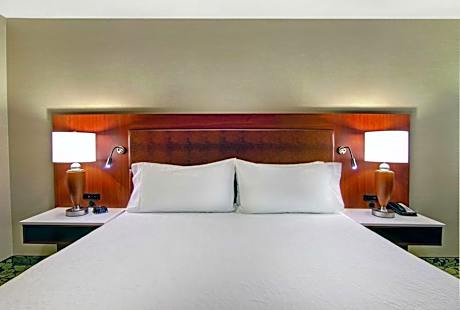 One-Bedroom King Suite